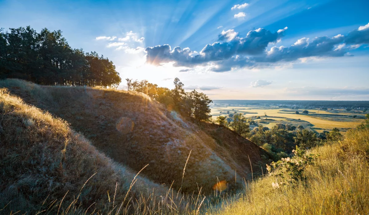 Ale jak zadbać o rośliny domowe?
