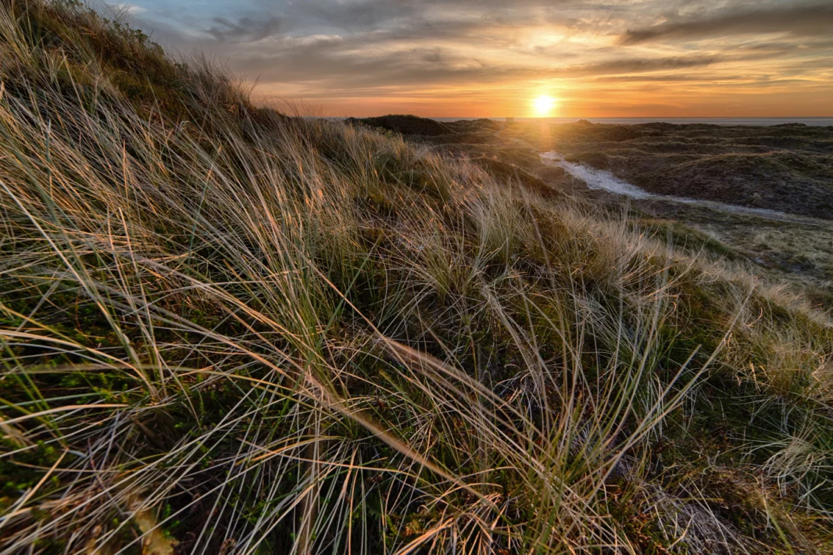 Ja Też Kiedyś Chciałem transportować ponadgabaryty. Nie Wychodziło Mi Zanim Znalazłem TO
