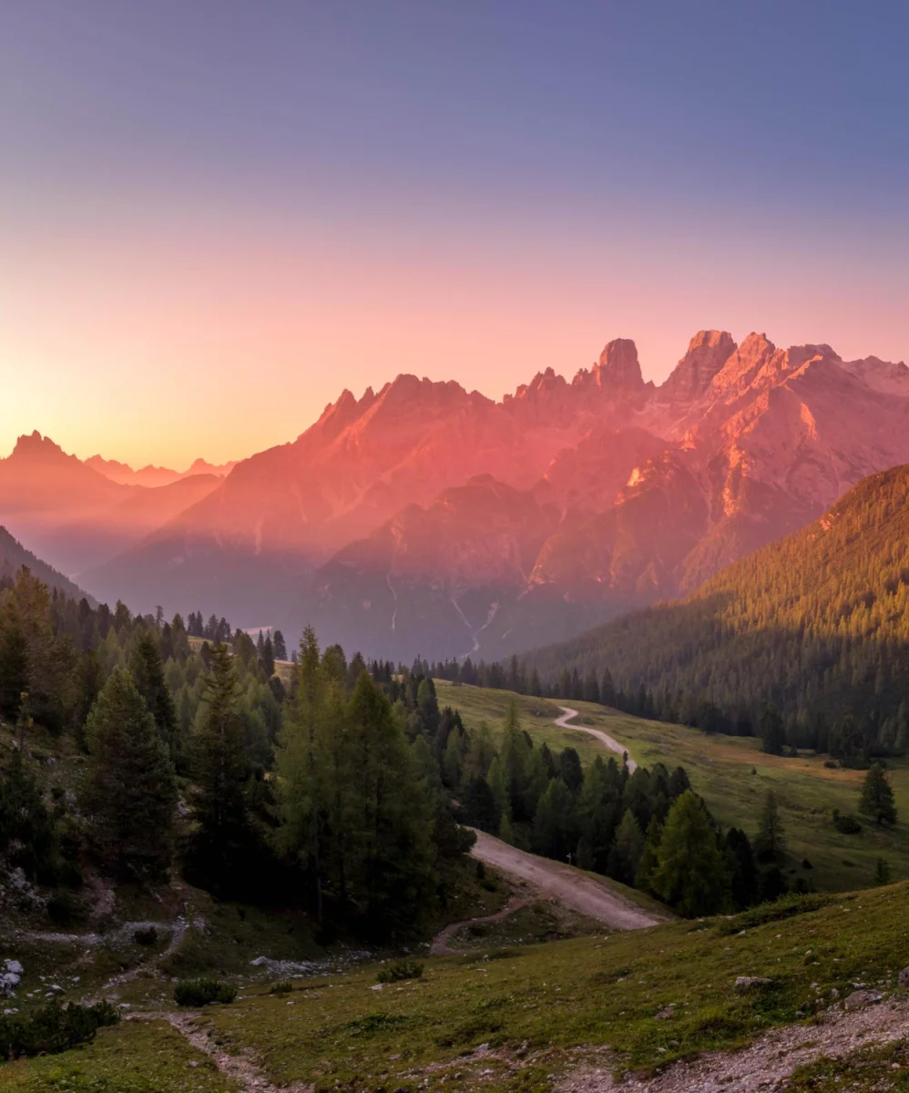 Potrzebny w wielu branżach i przy wielu remontach - podnośnik.