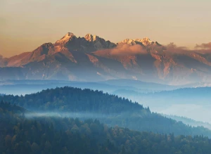 Barista - jak nim zostać