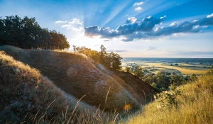 Nowy wątek jak zobaczyć taniec w Krakowie?