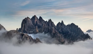 Na pewno nie wiesz jak podlewać. Wystarczy, że przeczytasz ten wpis